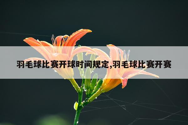 羽毛球比赛开球时间规定,羽毛球比赛开赛