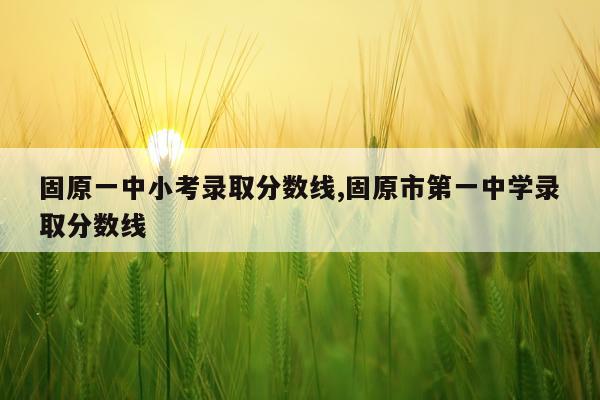 固原一中小考录取分数线,固原市第一中学录取分数线
