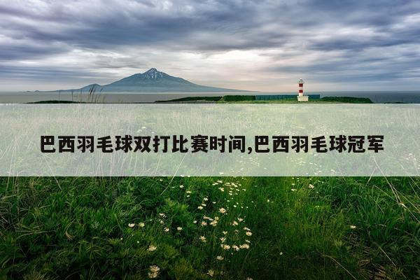 巴西羽毛球双打比赛时间,巴西羽毛球冠军