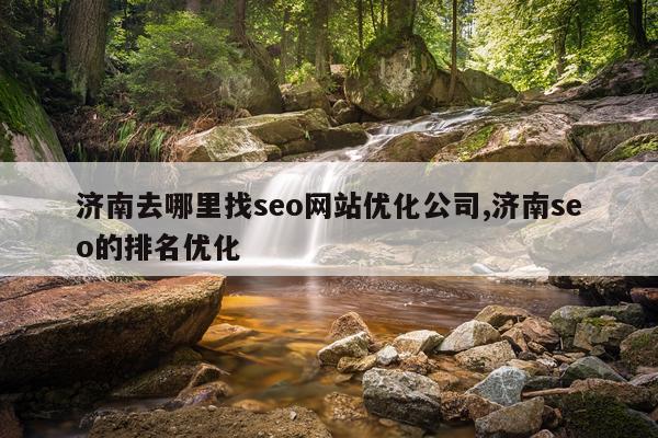 济南去哪里找seo网站优化公司,济南seo的排名优化